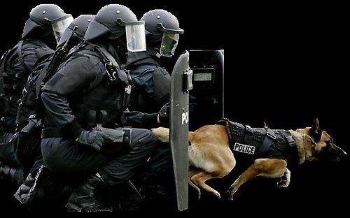 Police dog