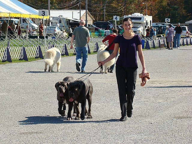 Jess Fenice and Eeragon at Show in NJ