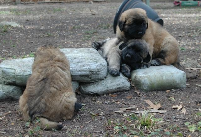 Pile on the stone blocks