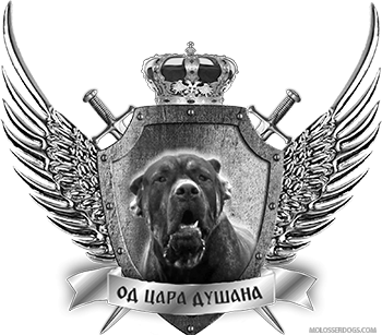 Kennel of Serbian Defense Dog "FROM EMPEROR DUSAN" -