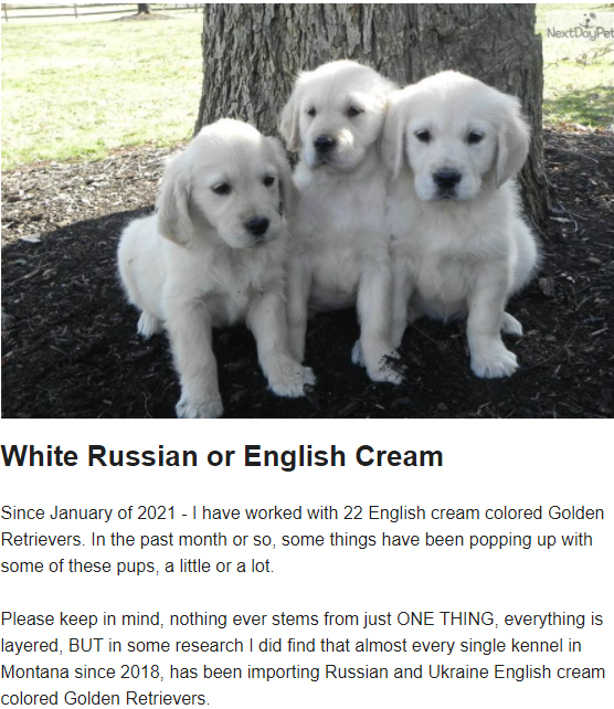 rz9pwmrcybdhe4wdtqr29ampm9lhiwue.png