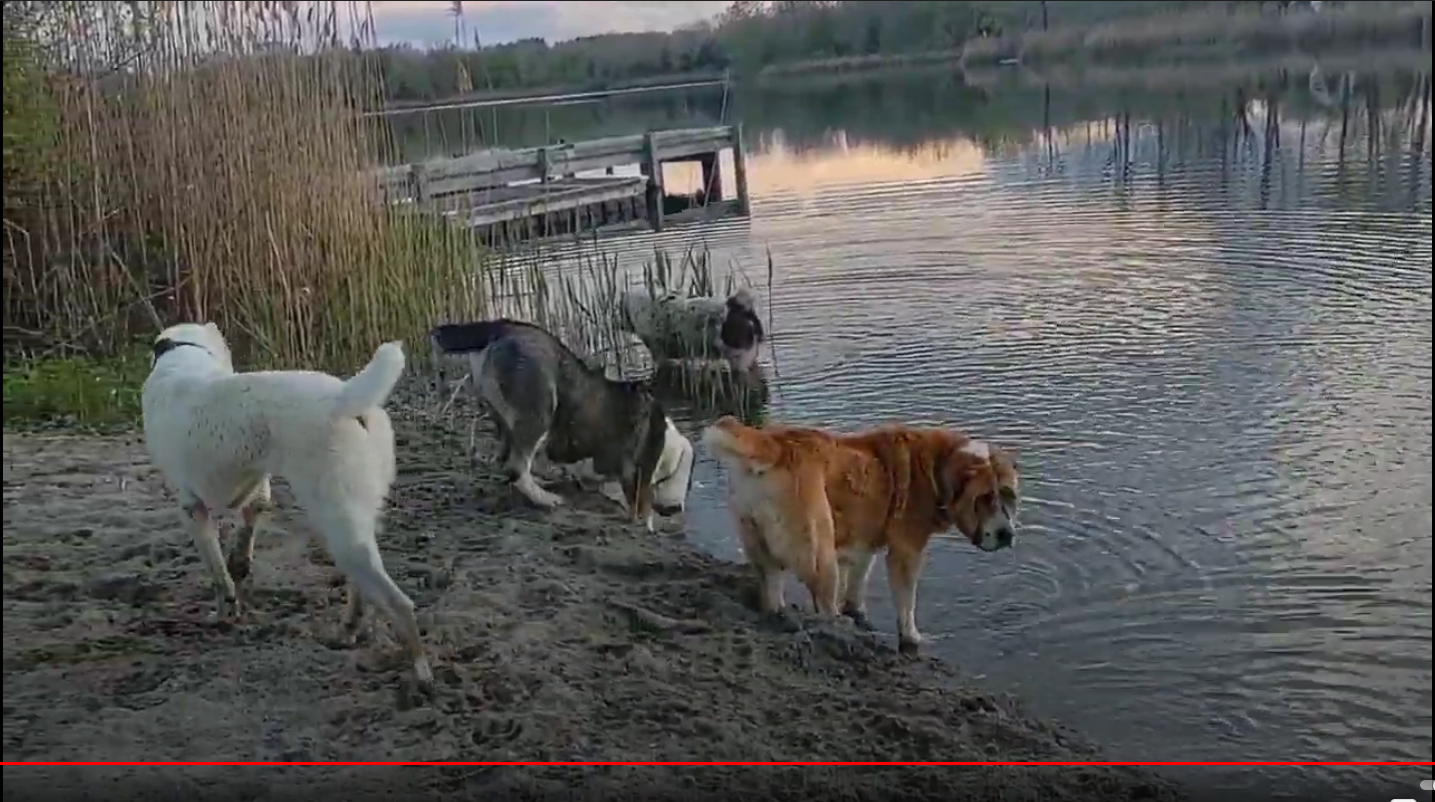 wargvs3fgbaybeknhjq3gls8zzszfyne.png