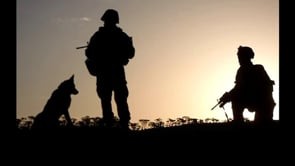 USA's Military Working Dogs
